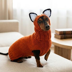 May include: A dachshund dog wearing an orange knitted fox costume with a hood and ears. The dog is sitting on a cream-colored sofa, with a wooden table and books in the background. The dog's tail is black.