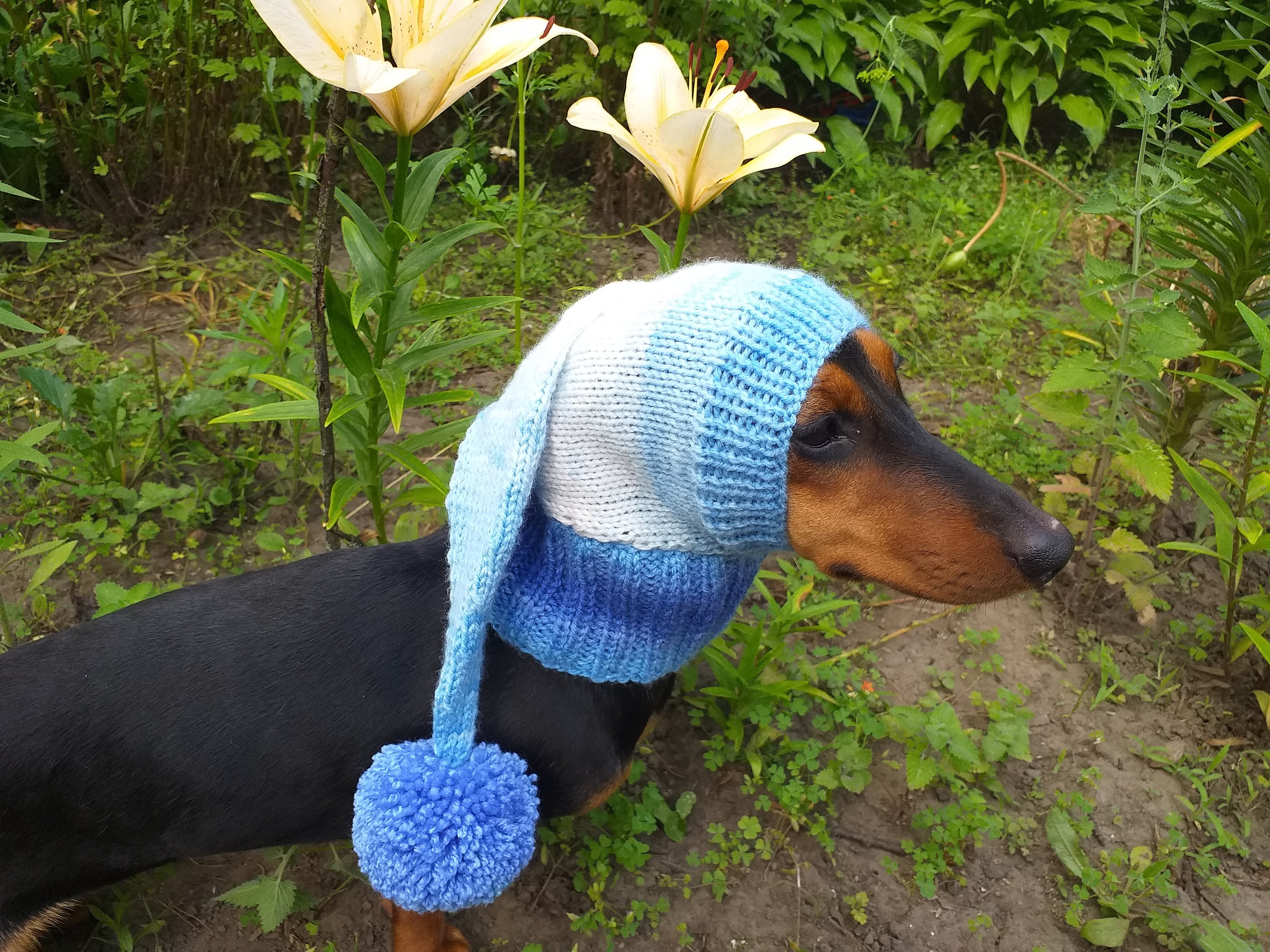 Winter Weihnachtskleidung für Hunde Gestrickte Mütze mit Etsy