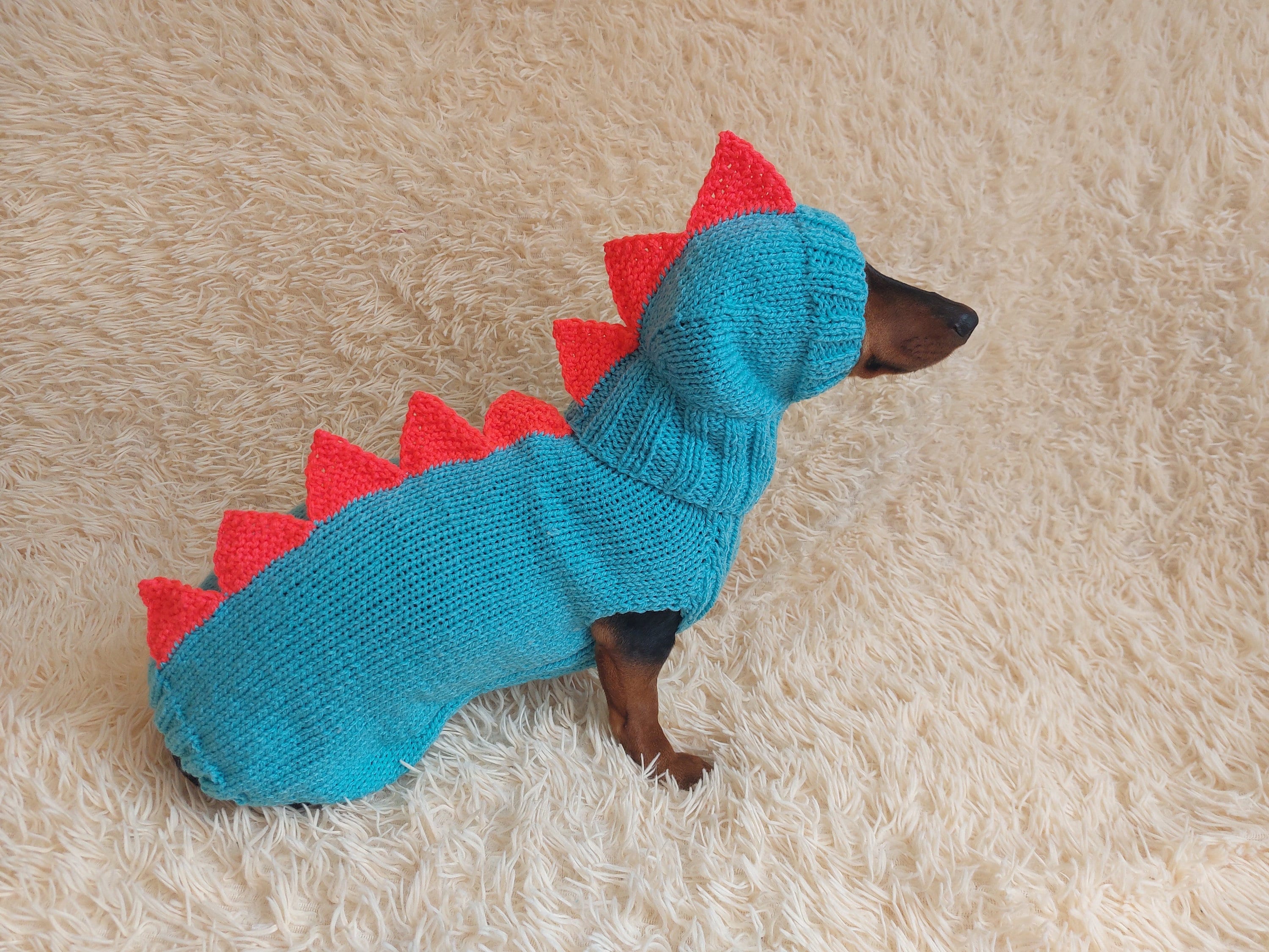 Dachshund costumes Italia