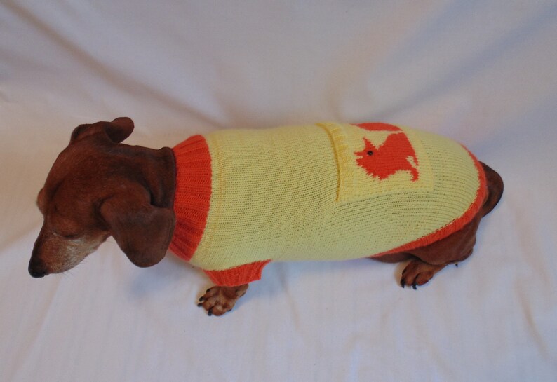 Fox Sweater for Dachshund Dachshund Costume Dachshund Etsy