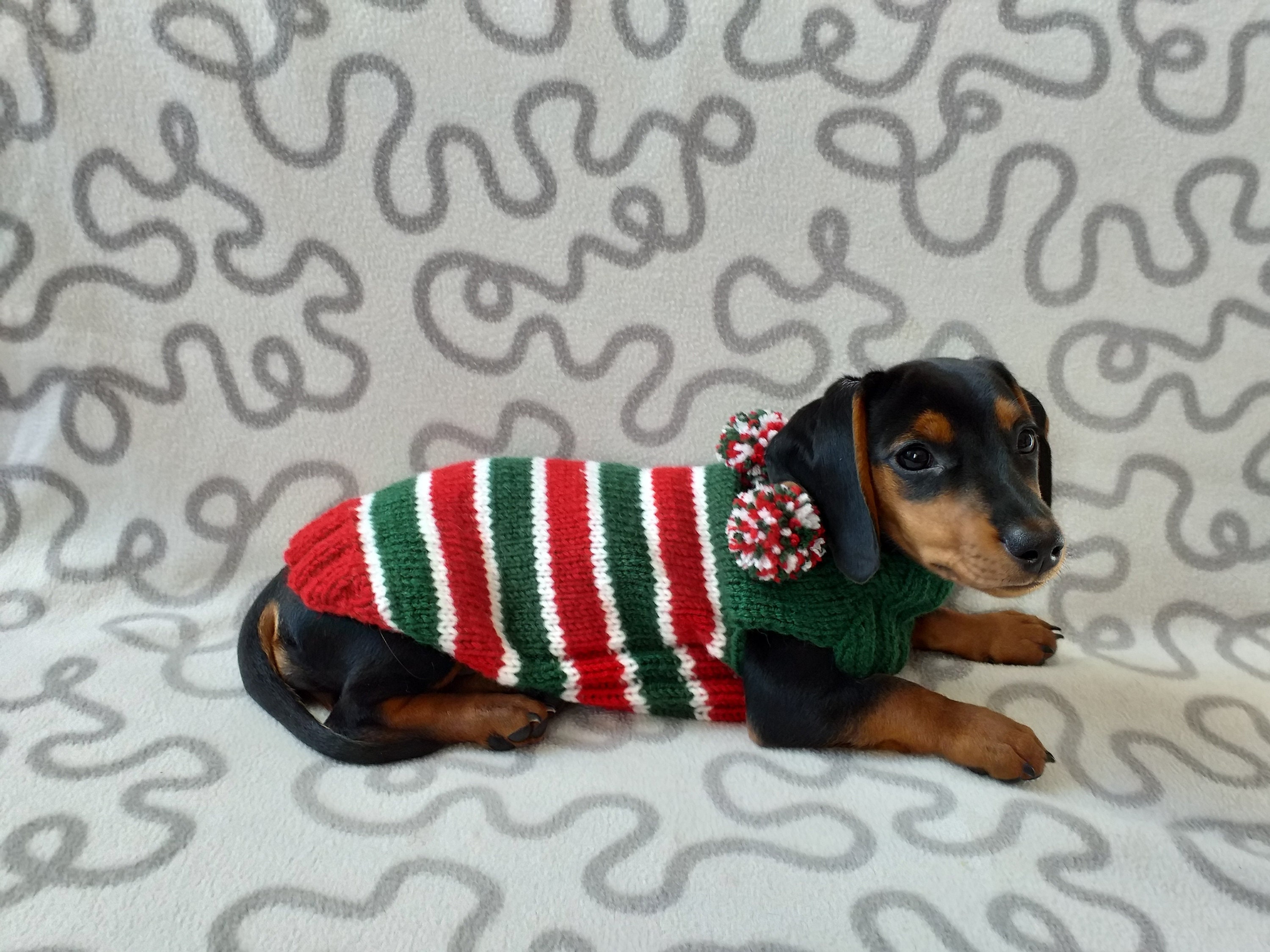 Dachshund New Look Christmas Jumpers 2021 Dachshund Dog Christmas