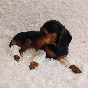 Leggings de lana de angora para perros en 5 colores, leggings para perros salchicha, patas cálidas para perros, patas cálidas para perros salchicha, leggings para perros, leggings para perros salchicha