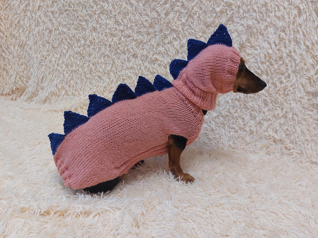 Bassotto Costume Dinosauro Per Cani Divertente Trex Bassotto