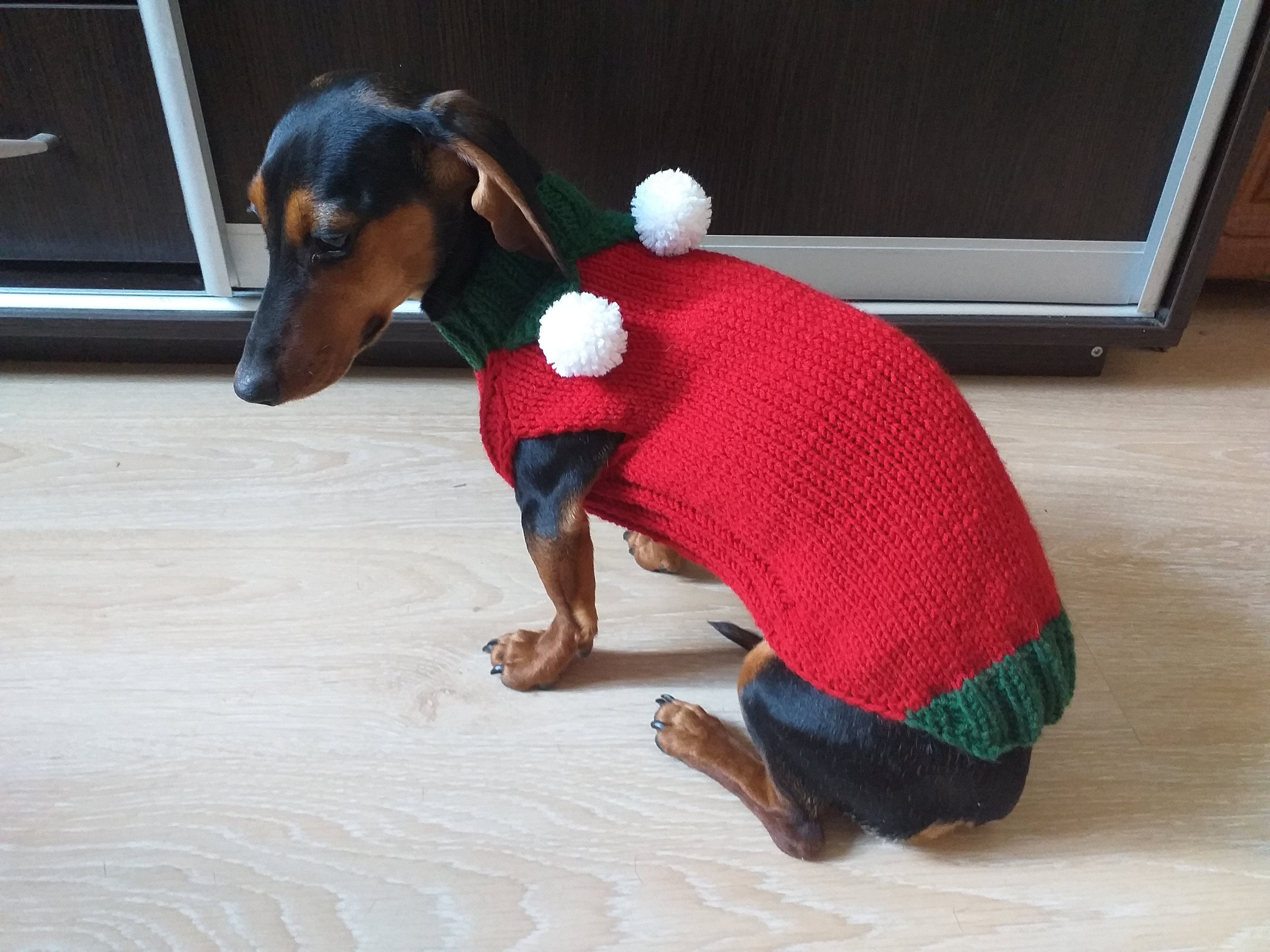 Christmas Elf Dog Jumper With Pom Poms Christmas Dog Clothes Etsy UK