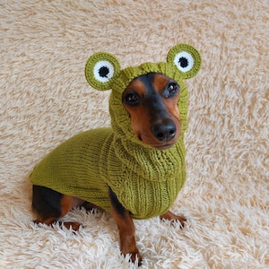 Pet Frog Costume - Halloween Costume Frog Sweater and Hat - Dachshund Frog Set for Dog Photo Shoot-Halloween dog costume for small dog Frog