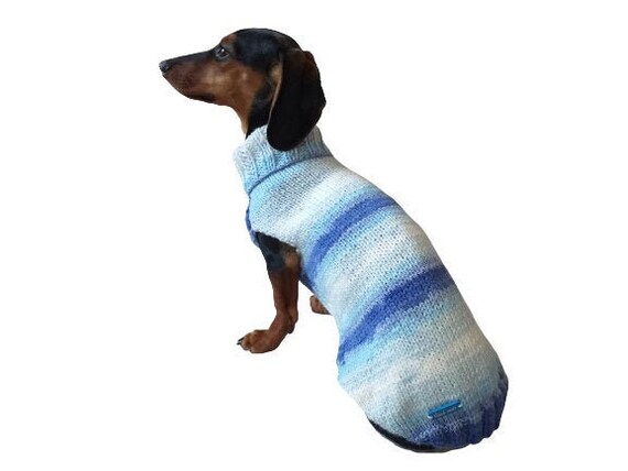 Mini dachshund cheap clothes