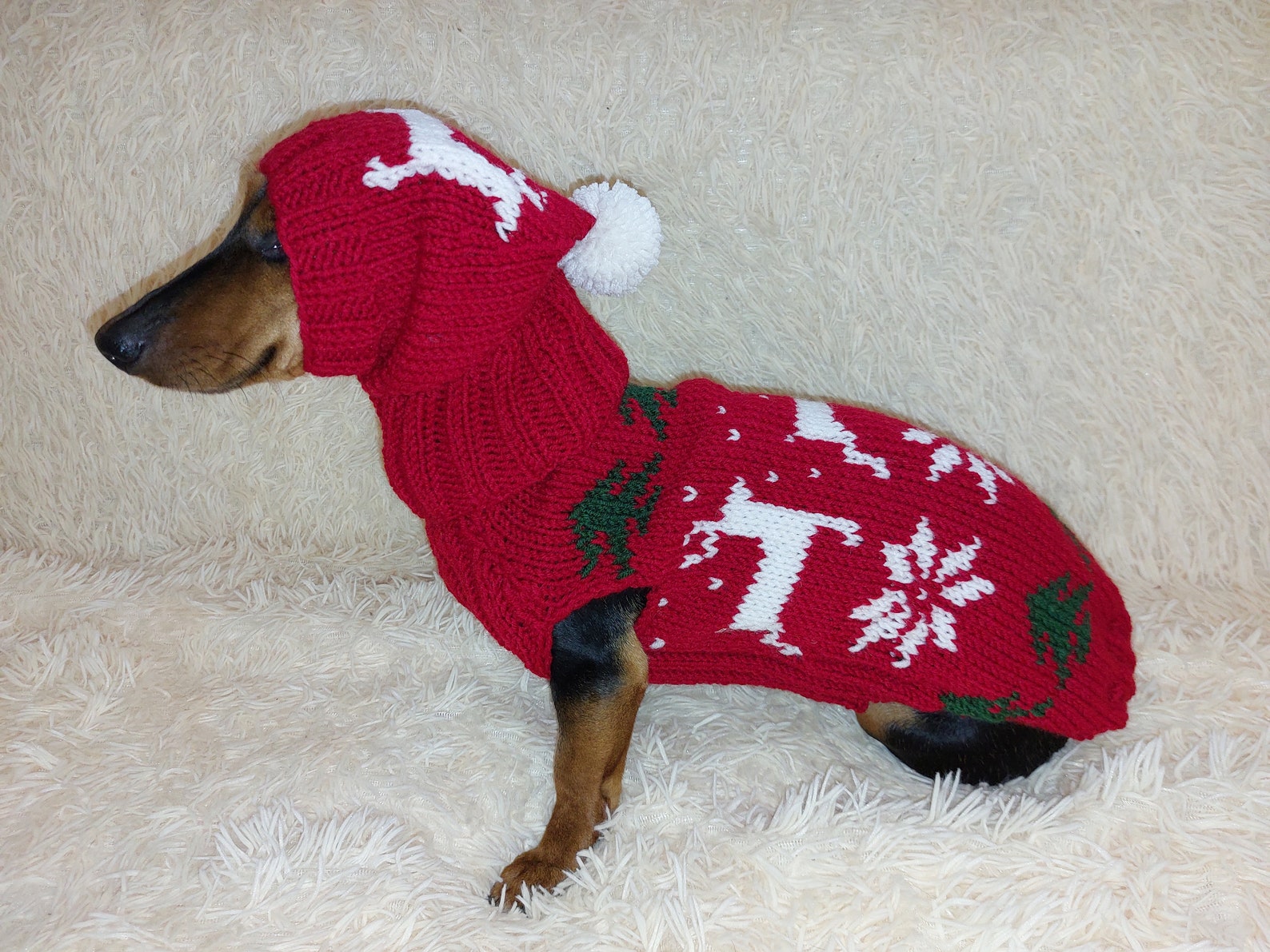 Christmas Outfit for a Dachshund Costume Sweater and Hat With - Etsy