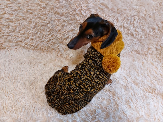 Etsy dachshund sweater hot sale