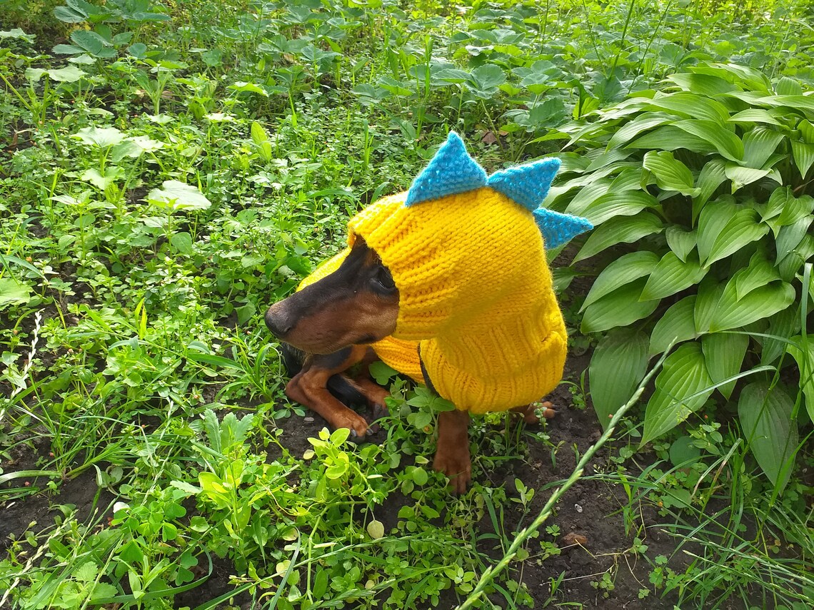 Dinosaur costume for dogs dachshund dinosaur costume sweater Etsy