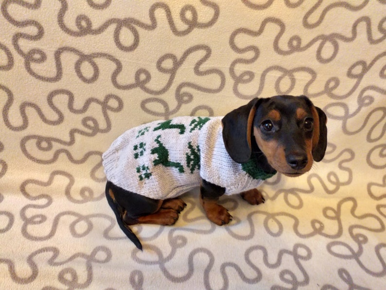 Christmas dinosaur sweater for dog knitted dinosaur sweater etsy