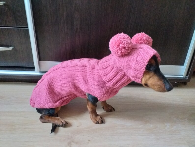 Dachshund Suit Sweater and Hat Knitted Dachshund Clothes Etsy