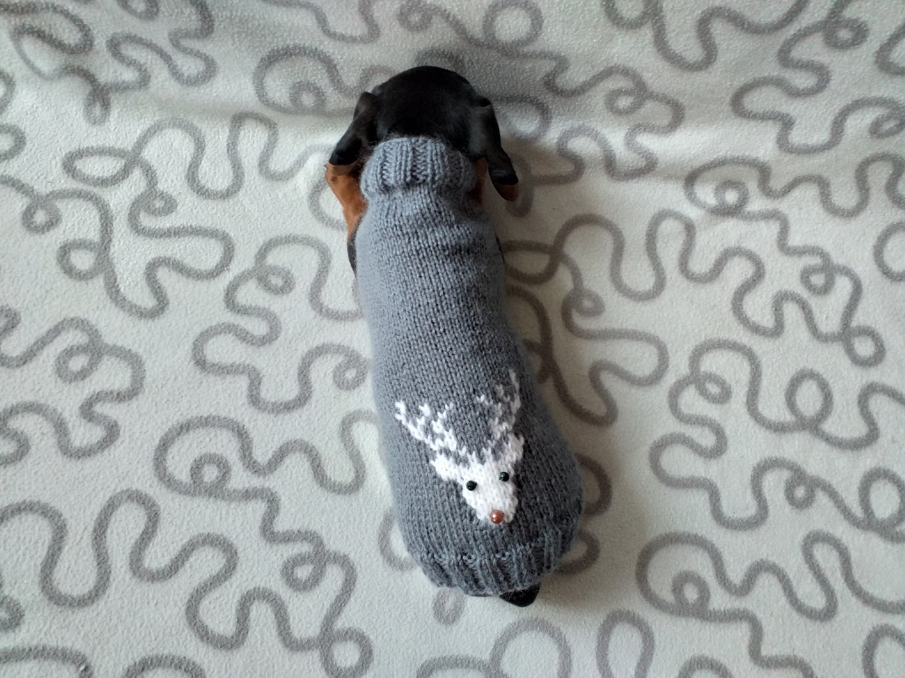 Weihnachtspullover mit Hirsch für kleine Hunde Pullover Etsy