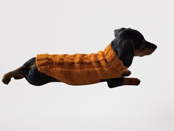 Dachshund Knitted Sweater - Etsy