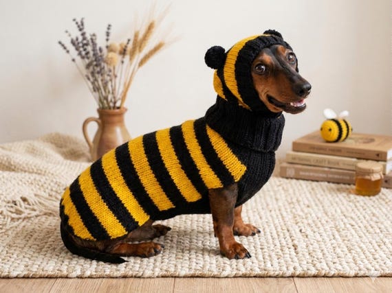 Bee Animal Dog Costume Sweater and Hat Original Pet Outfit Knitted