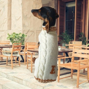 Personalized dog sweater with initials, dog clothes with letter of name, dog clothes with initials, monogram dog sweater