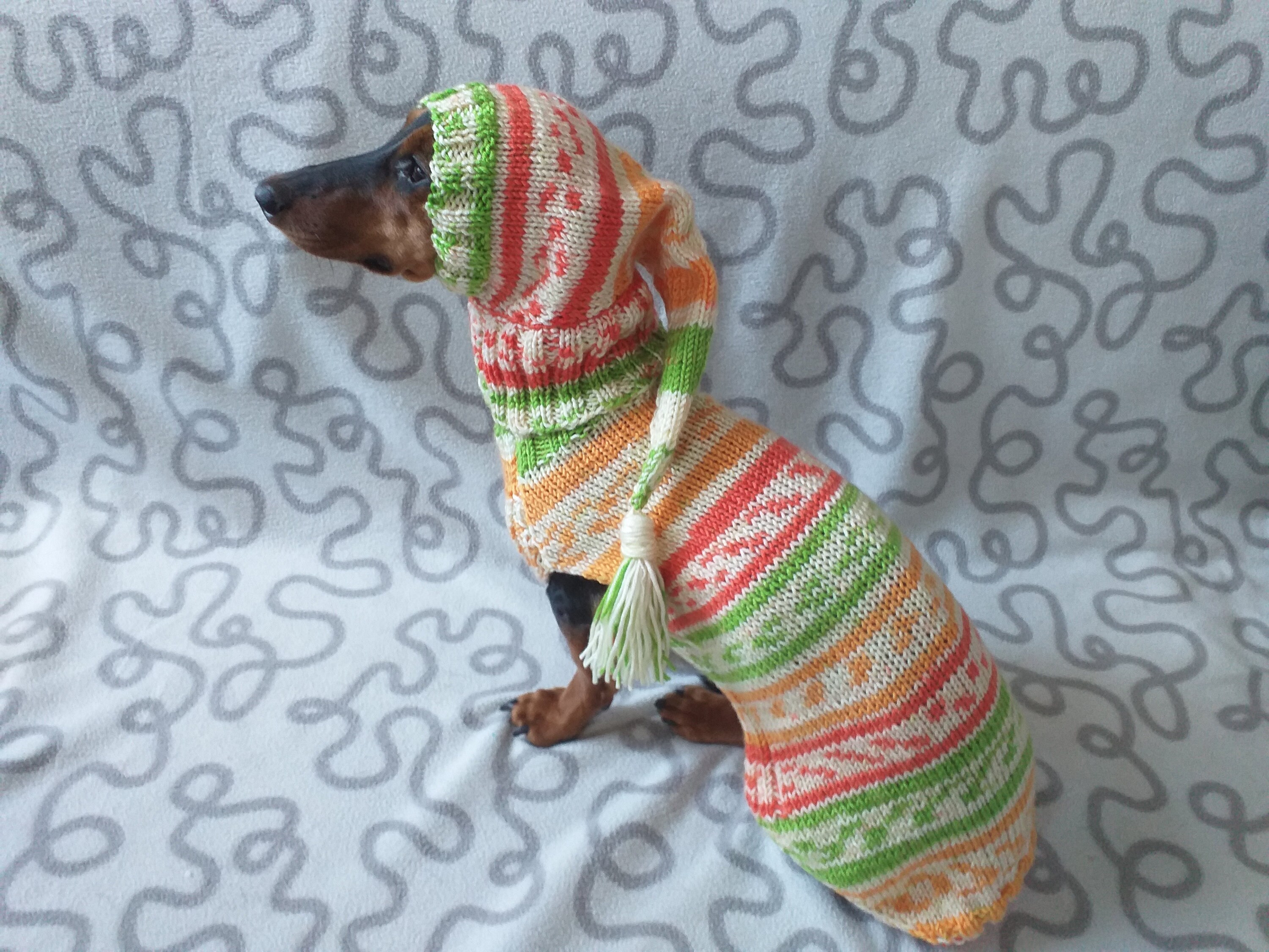 Santa Kostüm für Mini Dackel oder kleinen Hund gestrickte Etsy