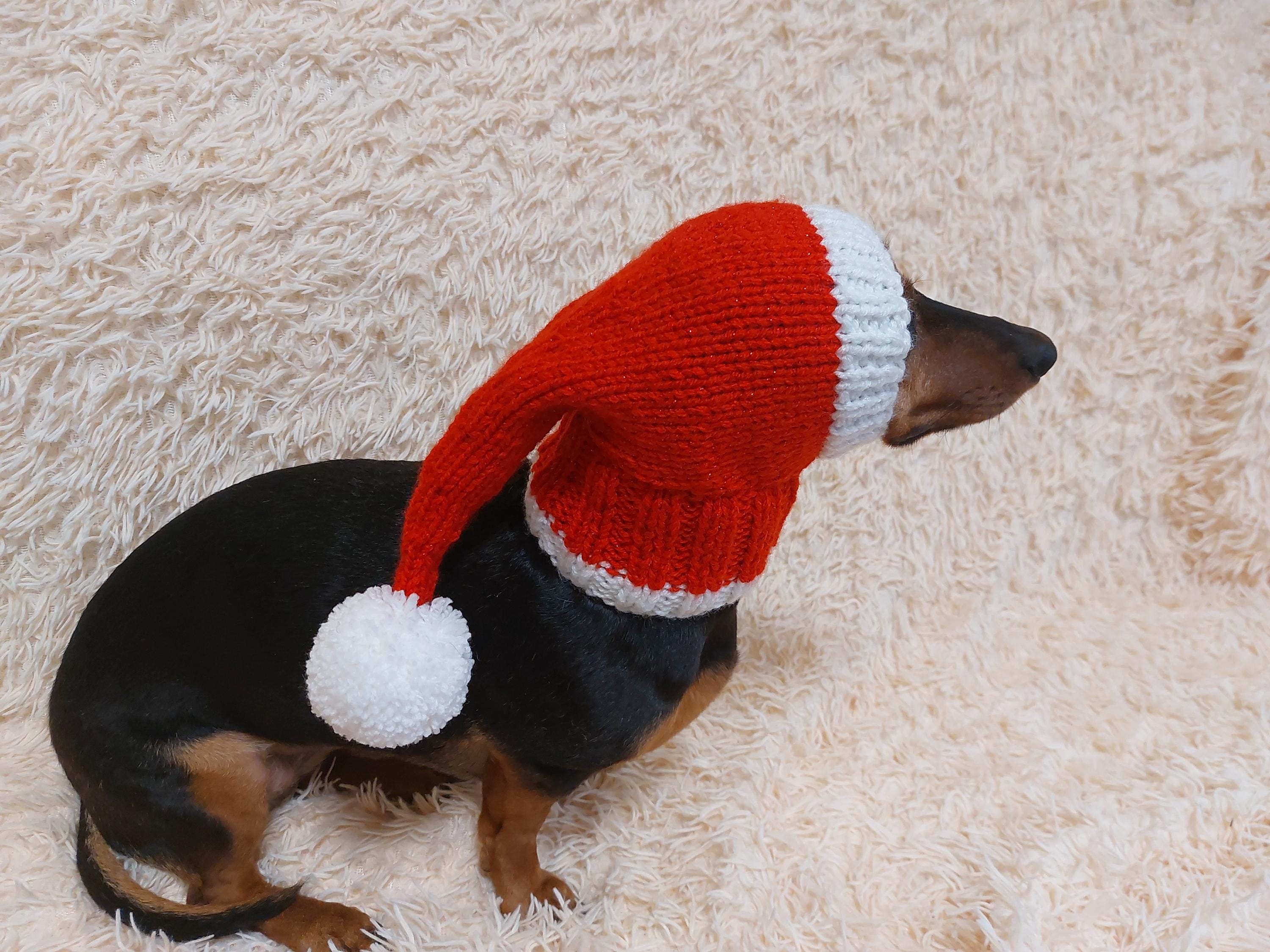 Santa Knitted Pompom Dog Hat Christmas Bright Festive Costume