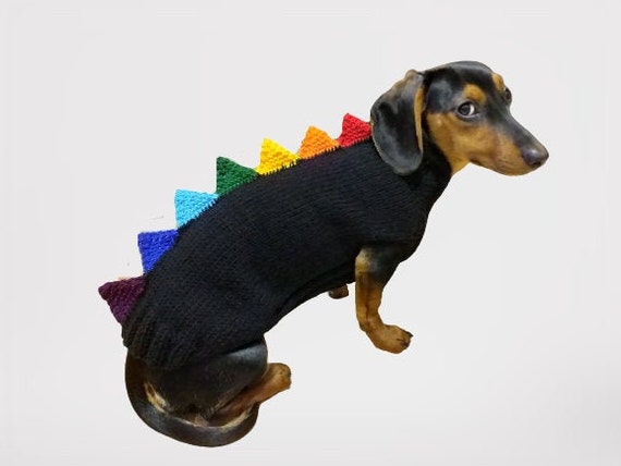 Dinosaur clearance dog sweater