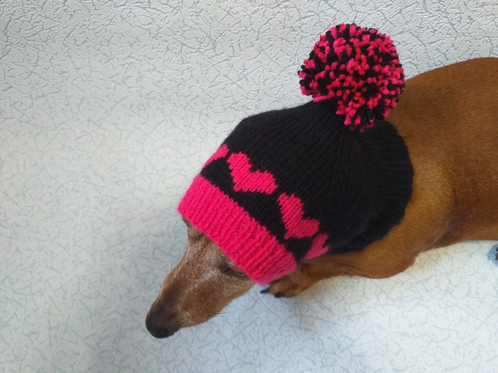Pink hat with hearts and big pompon for dog doxie clothes Etsy