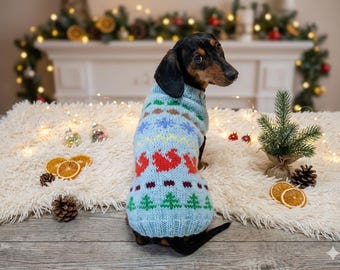 Può includere: Un cane bassotto indossa un maglione lavorato a maglia azzurro con un motivo festivo di cuori rossi, alberi verdi e fiocchi di neve. Il cane è seduto su un soffice tappeto bianco con decorazioni natalizie sullo sfondo.