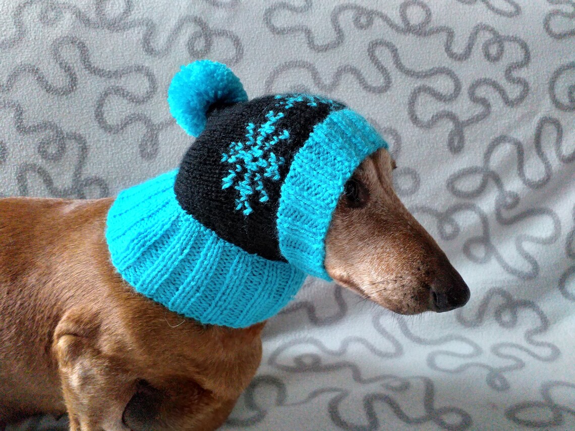 Winter knitted hat for small doghat for dogs pet clothes Etsy