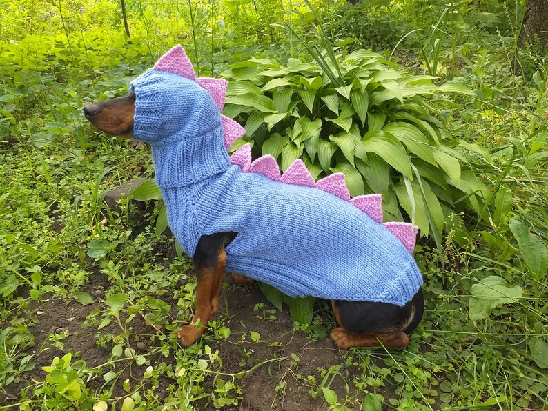 Dino Dog Cloches Dino Costume for Dogs Dachshund Dinosaur Etsy
