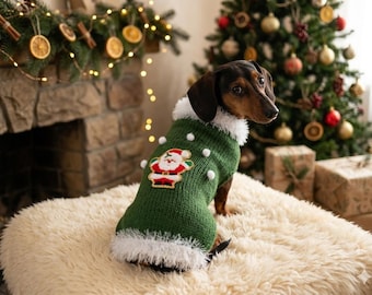 Può includere: Un cane bassotto indossa un maglione natalizio verde con un'applicazione di Babbo Natale e finiture bianche. Il cane è seduto su una superficie soffice color crema, con un albero di Natale decorato e un camino sullo sfondo.