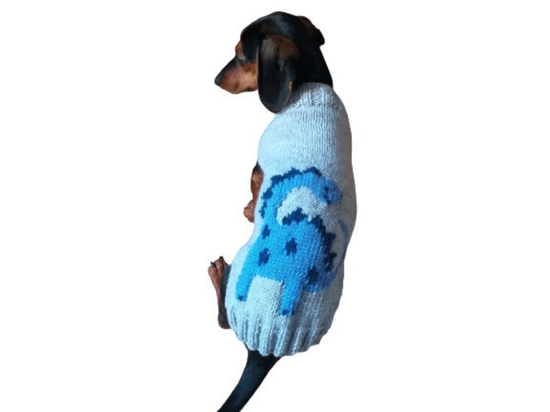 dinosaur dog sweater
