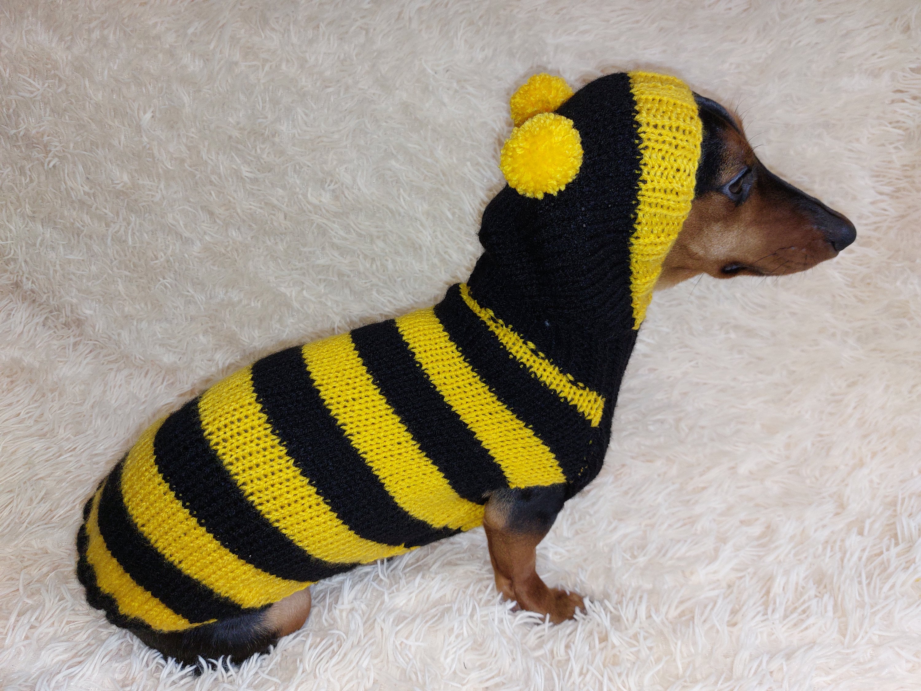 Bee Sweatshirt for Dog, Bee Costume for Pets, Dog Hoodie for