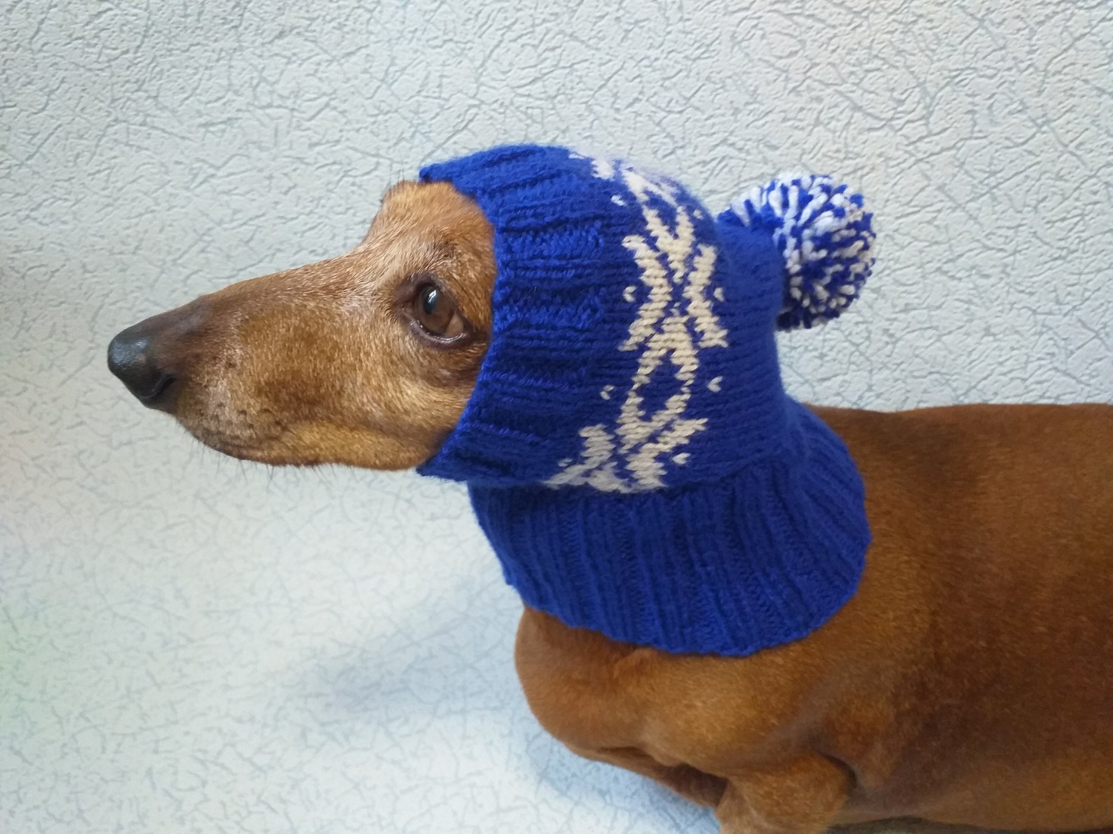 Winter knitted hat for small doghat for dogs pet clothes Etsy