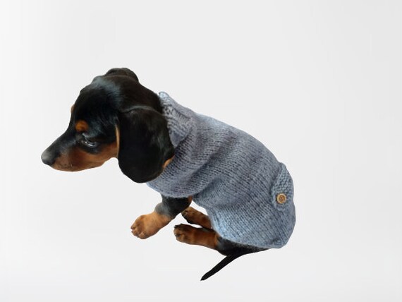 Miniature dachshund puppy jumper sales