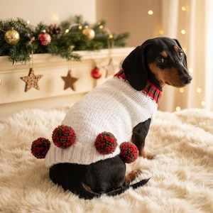 Puede incluir: Un perro salchicha negro y canela con un su&eacute;ter blanco tejido con pompones rojos y verdes. El perro est&aacute; sentado sobre una alfombra esponjosa de color crema. Decoraciones navide&ntilde;as en el fondo.