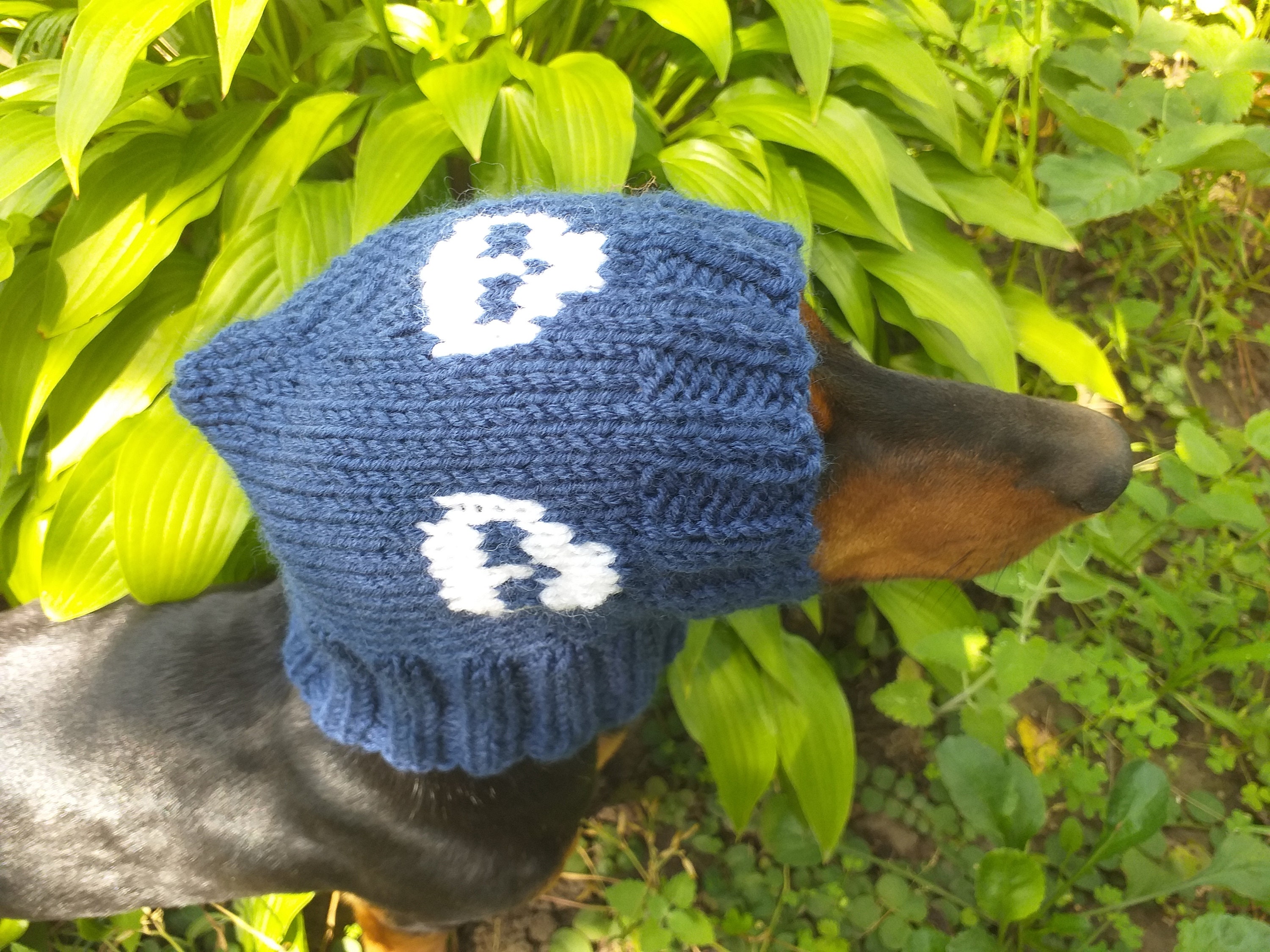 Hut für Hunde mit Totenköpfen Halloween Kleidung Hut für Etsy