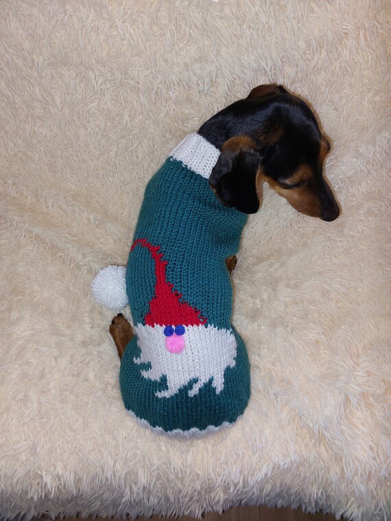 Tenue de Pere Noel de Noel pour pull teckel Etsy Canada
