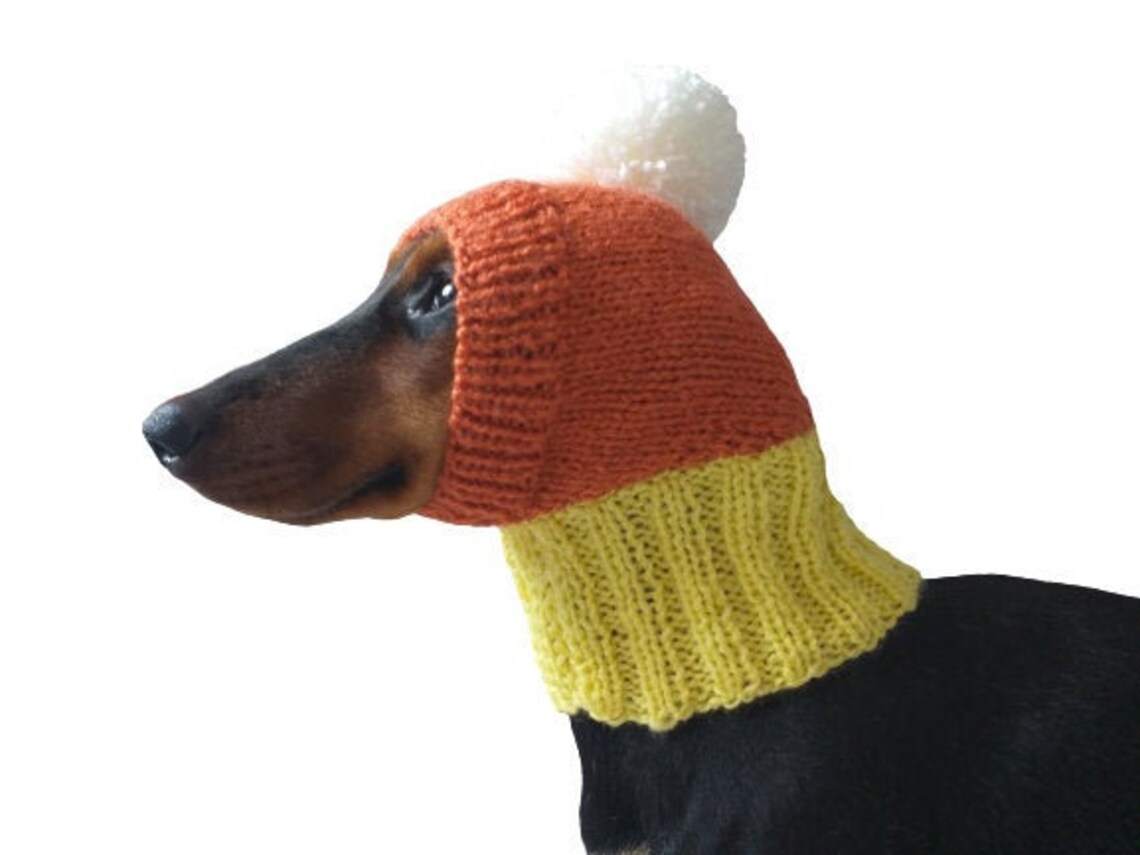 Candy Corn Dog Hathat for Dog Popcorn Halloween Hat for Dog Etsy
