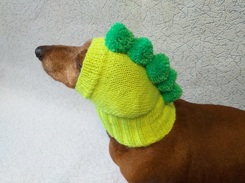 Hat for dog dinosaur clothing for dog dinosaur dachshund Etsy