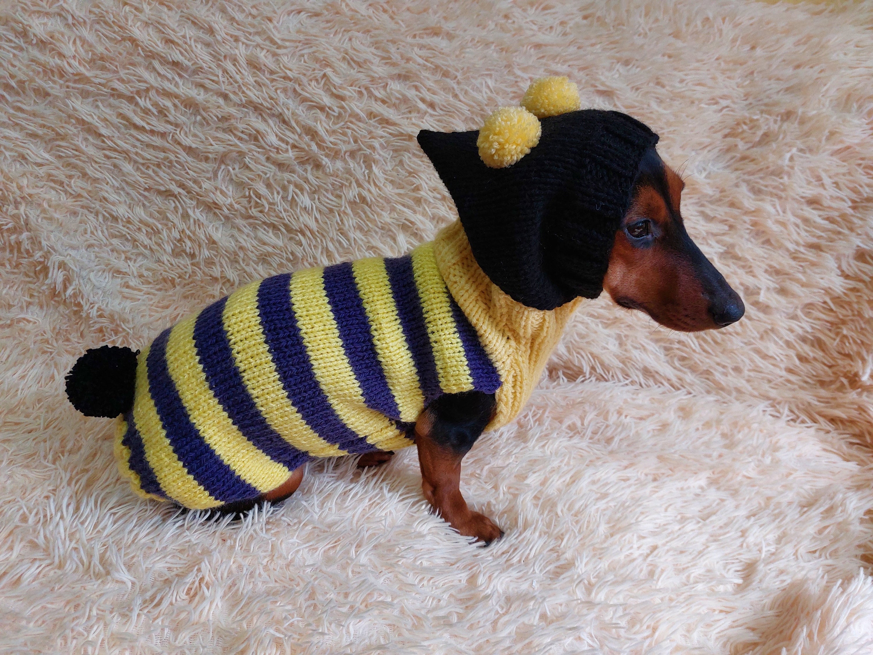 Bee Dog Hoodie: Halloween Pet Sweatshirt for Mini Dachshund - Etsy