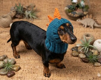 Dinosaurus hond hoed dierlijke warme dino rex hoed met spikes voor huisdieren op maat breien, halloween beanie teckel kleding kleding outfit