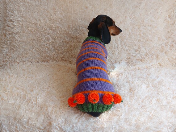 Pumpkin Halloween Clothes for Pets Dog and Cat Pumpkin Sweater Halloween Outfit Dachshund Pumpkin Costume Etsy Canada