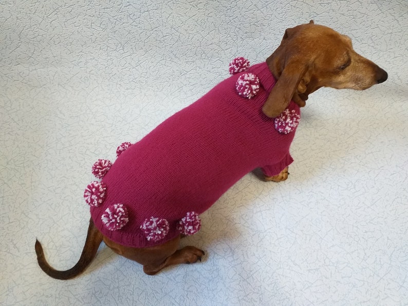 Christmas Dachshund Clothes Pompom Sweater Dachshund Dog Etsy
