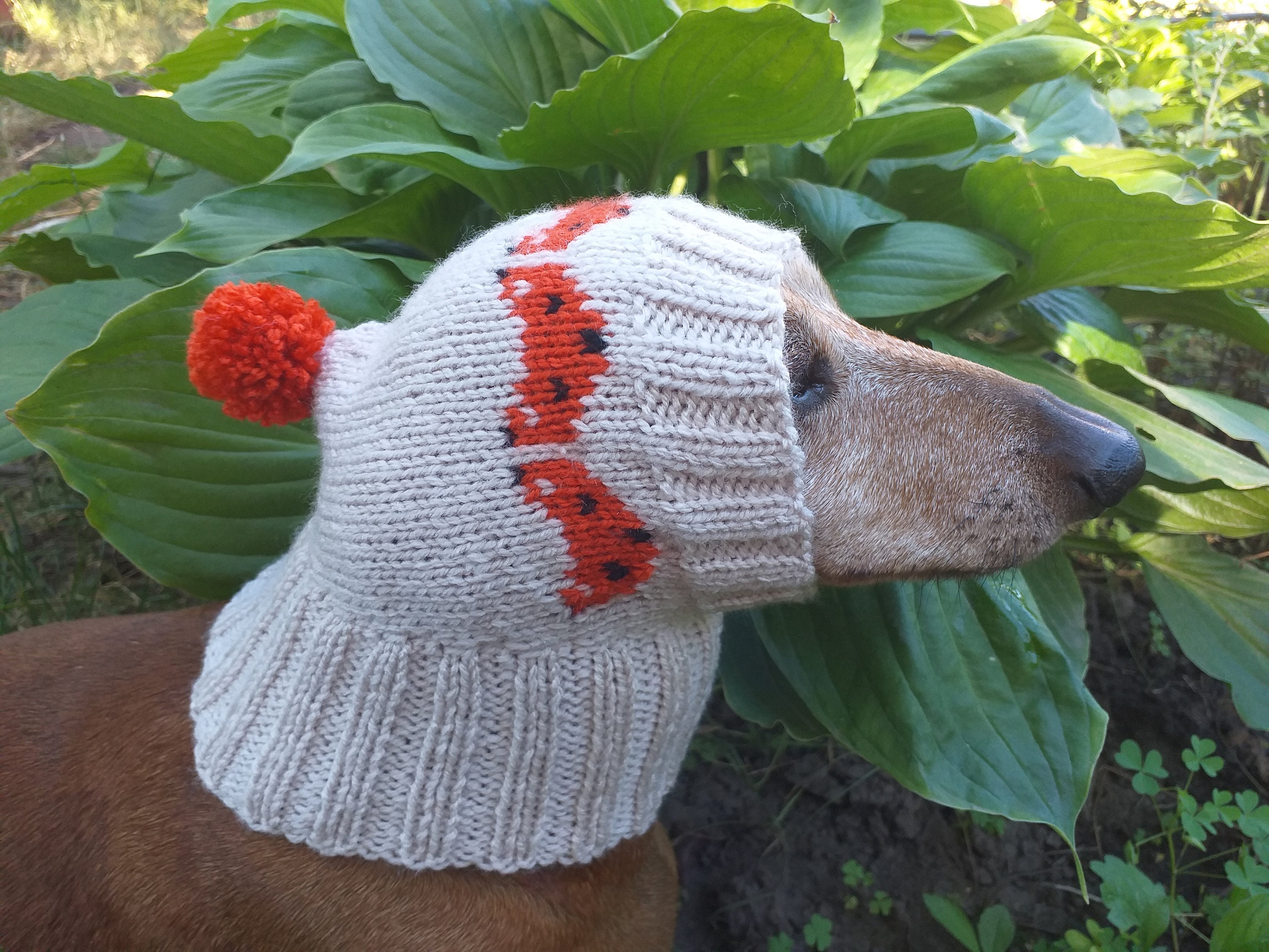 Fox Hat for Small Doghat for Dogsfox 