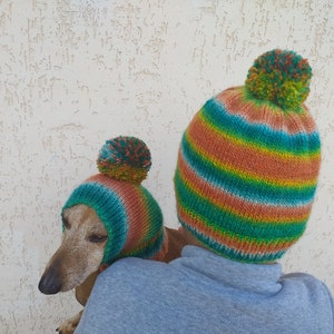 Set of warm wool hats with pom-pom for mom and dachshund, set of knitted hats with pom-pom for hostess and dog image 3