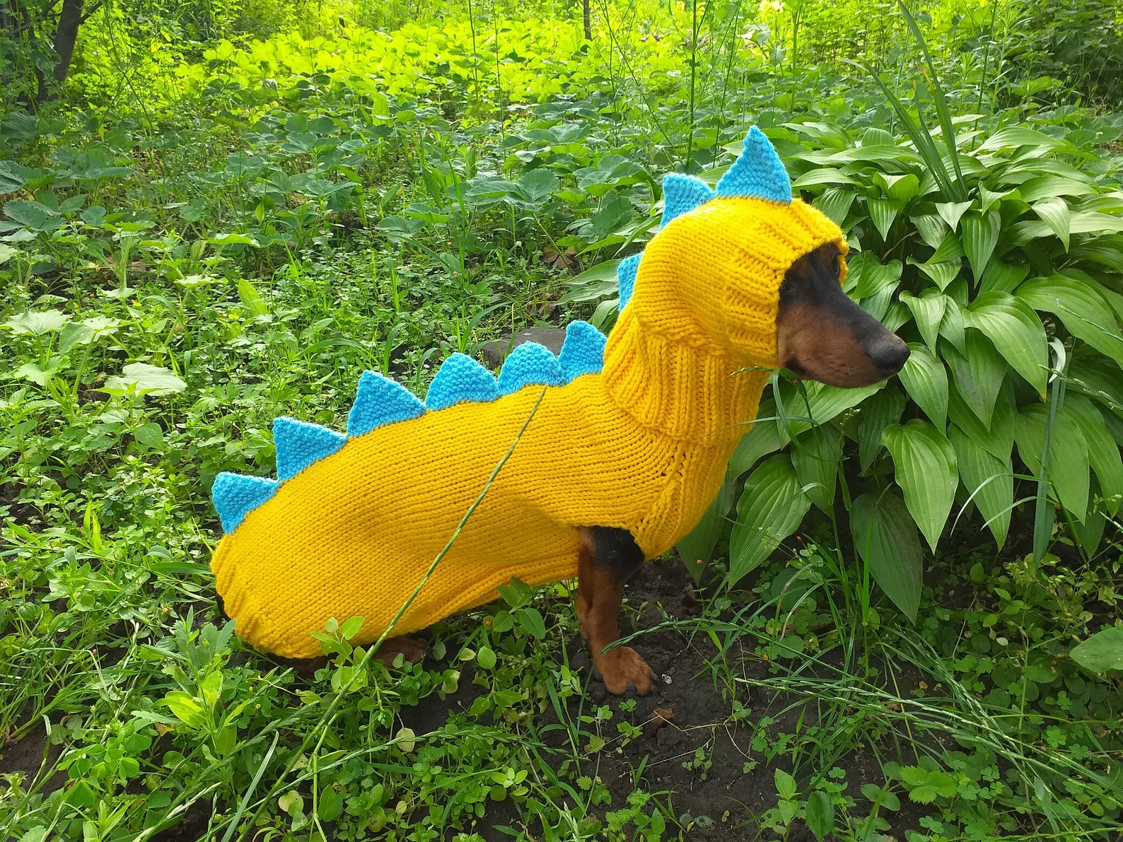 Dinosaur Costume for Dogs Dachshund Dinosaur Costume Sweater Etsy UK