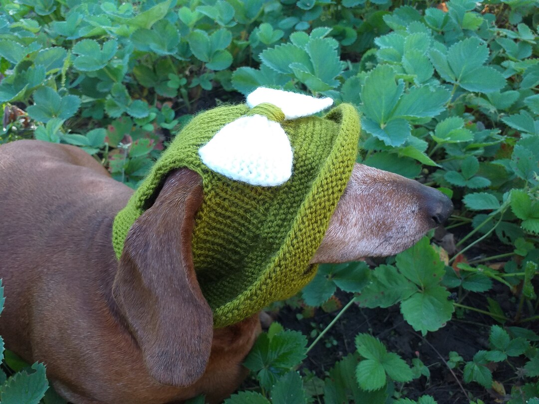 Summer Knitted Hat for Dogs, Panama for Dogs, Hat for Dogs, Hat for