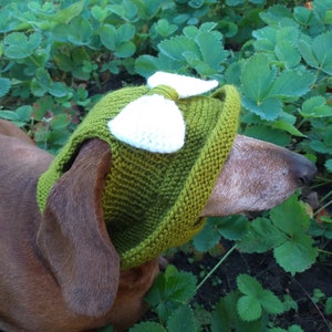 Summer knitted hat for dogs, panama for dogs,  hat for dogs, hat for dachshund, accessories for dogs, gift for dogs, dog clothes,hat the sun