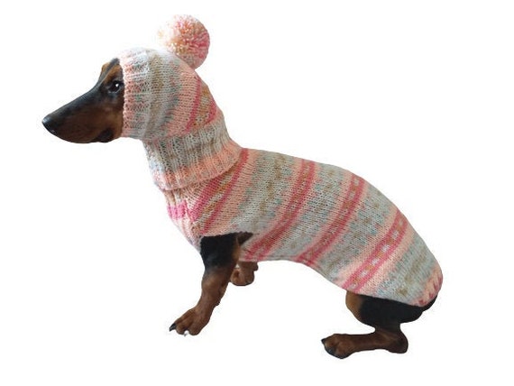 Traje de ropa para mini perro salchicha o pequeño suéter y