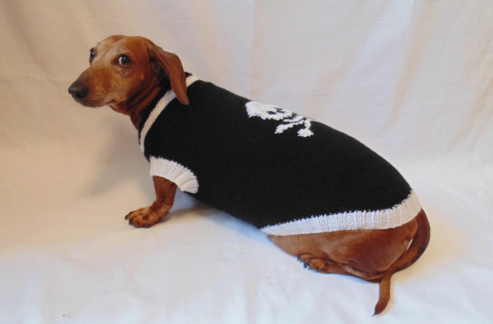 Clothing dog skull with bones halloween costume Sweater Etsy
