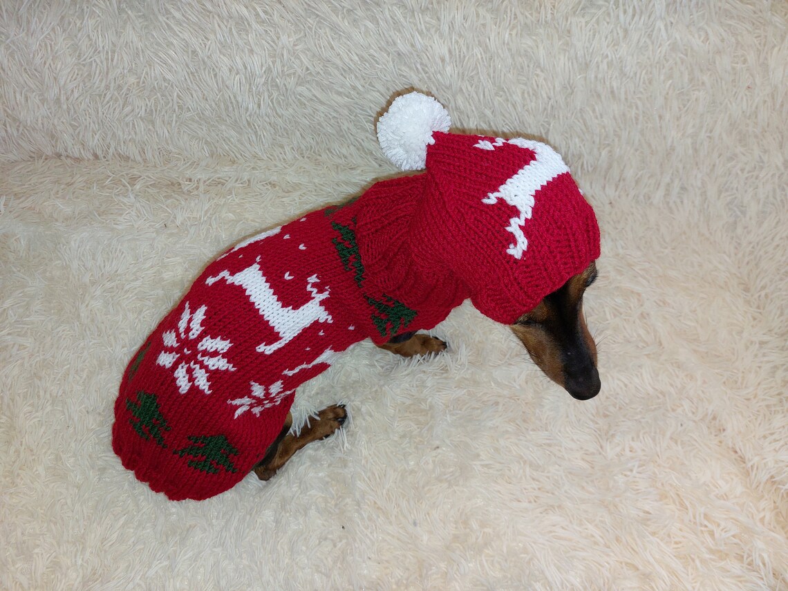 Christmas Outfit for a Dachshund Costume Sweater and Hat With - Etsy
