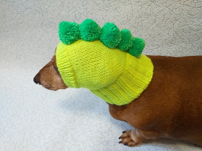 Hat for dog dinosaur clothing for dog dinosaur dachshund Etsy