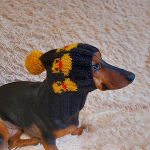 Duck clothes hat for dachshund or small dog